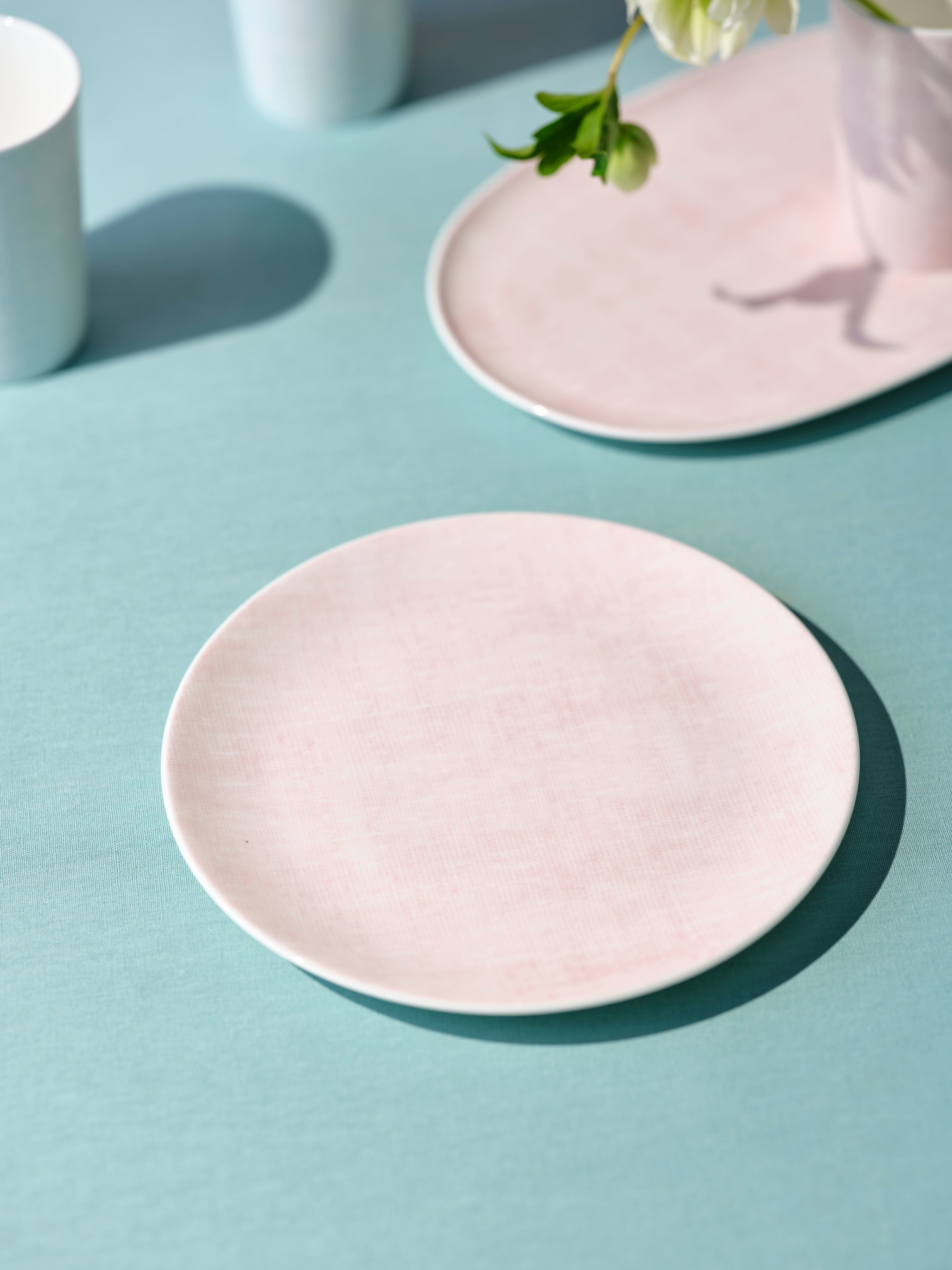 6" Plate